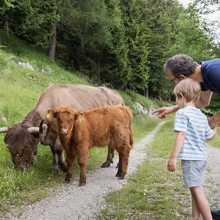 بيت للعطل Pumphaus Brandenberg