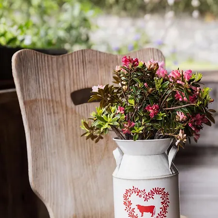 Vakantiehuis Pumphaus