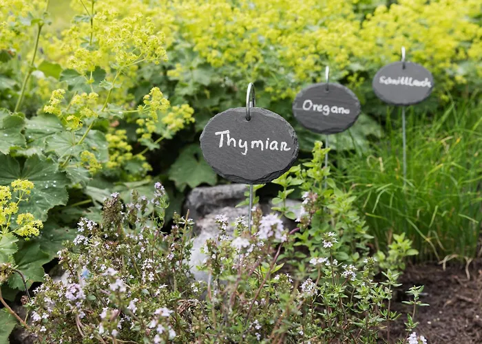 Pumphaus Feriehus Brandenberg